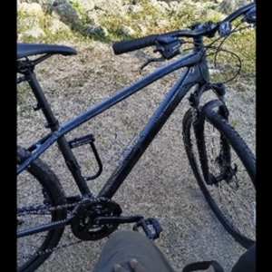 2023 Trek Trek Dual sport 22 Silver, gray or bare metal