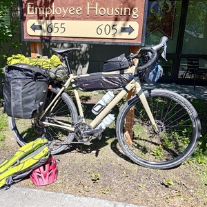 2020 Cannondale Topstone Brown