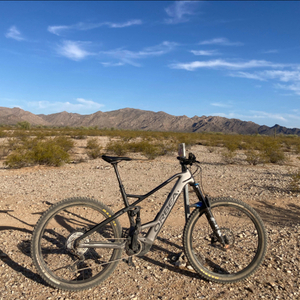 2022 Orbea Wild Black