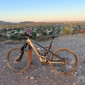 2022 Orbea Wild Black