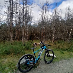 2021 Giant Fathom 1 Blue and Black
