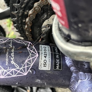 2016 Giant Alight Purple