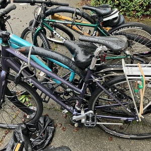 2016 Giant Alight Purple