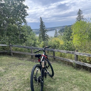 2023 Northrock XC29 Black and White