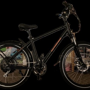 Rad Power Bikes RadCity Electric Commuter Bike Version 4 Black