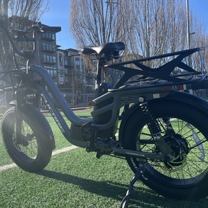 2024 Fucare Silver, gray or bare metal