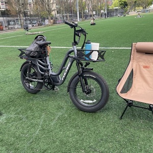 2024 Fucare Silver, gray or bare metal