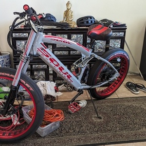 2023 Soul Fast E bikes Sonic Cuda Silver, gray or bare metal and Red