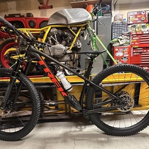 2024 Trek Roscoe 8 Black and Green