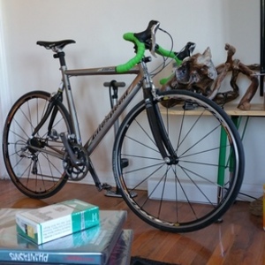 2005 Litespeed Ultimate Silver or Gray