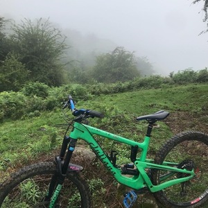 2019 Juliana Bicycles Strega Green