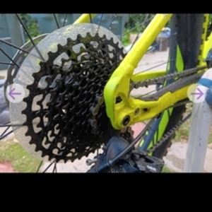 2019 Specialized Fuze Green