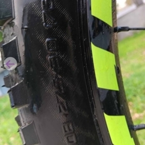 2019 Specialized Fuze Green