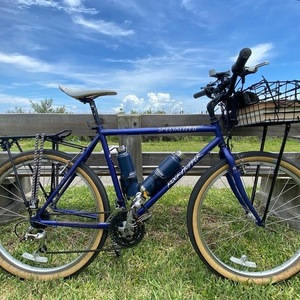 1995 Specialized Rockhopper Blue