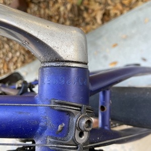 1995 Specialized Rockhopper Blue