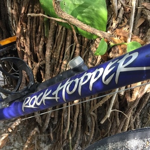 1995 Specialized Rockhopper Blue