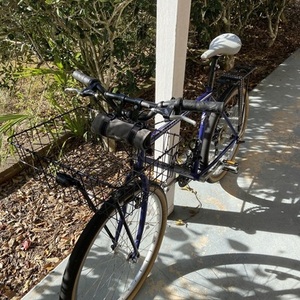 1995 Specialized Rockhopper Blue