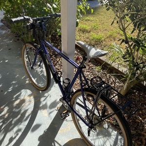 1995 Specialized Rockhopper Blue