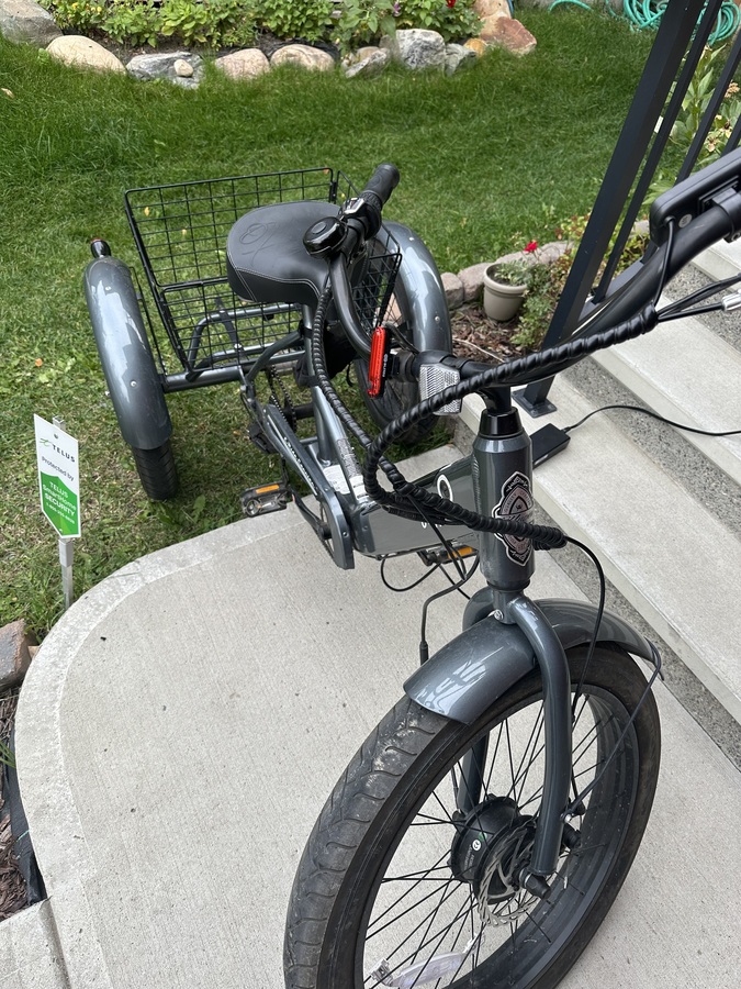 Cargo Tricycle photo