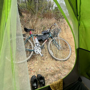 1993 Univega Via Del Oro Yellow or Gold and Green