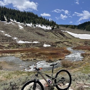 2014 Specialized S-Works Stumpjumper 29 Brown and Orange