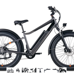 Rad Power Bikes RadRover 6 Plus High-Step Silver, gray or bare metal