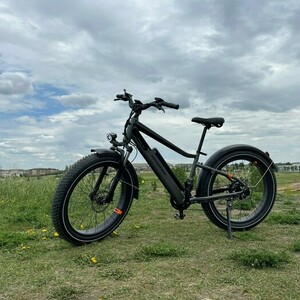 Rad Power Bikes RadRover 6 Plus High-Step Silver, gray or bare metal