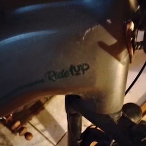 Ride1Up Turris Silver, gray or bare metal