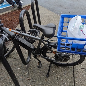 2019 Rad Power Bikes 19 inch Silver, gray or bare metal and Orange