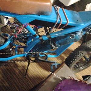 Fergo Blue