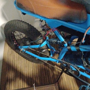 Fergo Blue
