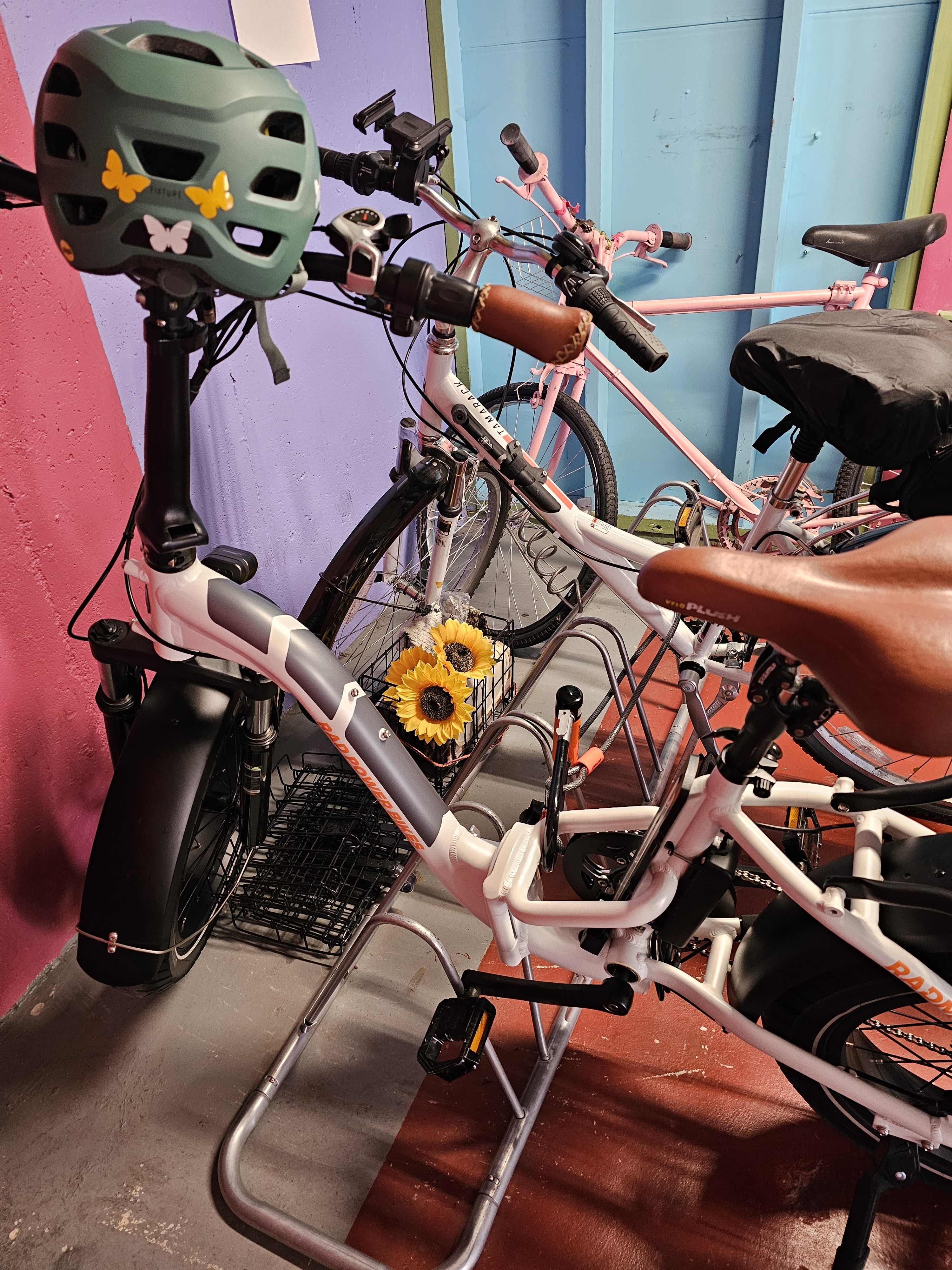 2020 Rad Power Bikes Radmini 2 ST