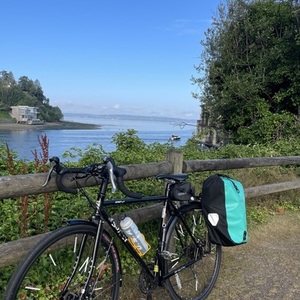 2014 Surly Straggler Black