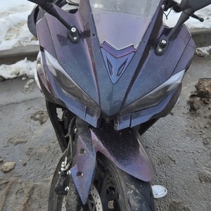 2025 Other Purple