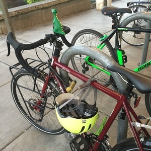 2015 Surly Disc Trucker Red