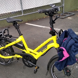 2023 Tern HSD P9 Yellow or Gold