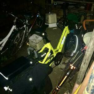 2023 Tern HSD P9 Yellow or Gold