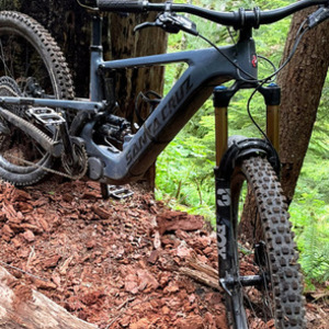 2022 Santa Cruz Heckler Silver, gray or bare metal