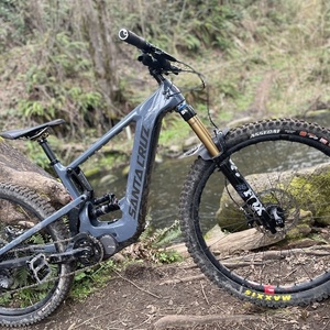 2022 Santa Cruz Heckler Silver, gray or bare metal