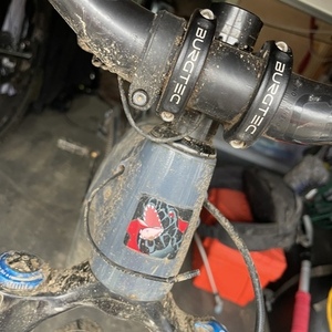 2022 Santa Cruz Heckler Silver, gray or bare metal