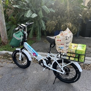 2024 Lectric eBikes XP 3.0 White