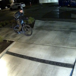 Rad Power Bikes Radster Blue
