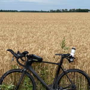 2014 Giant TCR Advanced Brown