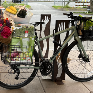 2020 Cannondale Quick3 Green