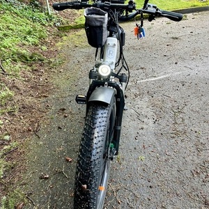 2021 Rad Power Bikes Rad Rover 6+ step-thru White