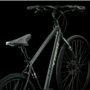 2022 Trek Verve 2 Disc Gen 4 Silver, gray or bare metal