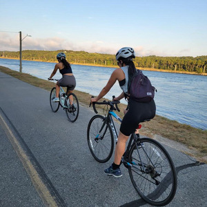 2017 Trek Domane AL 3 Silver, gray or bare metal and Blue