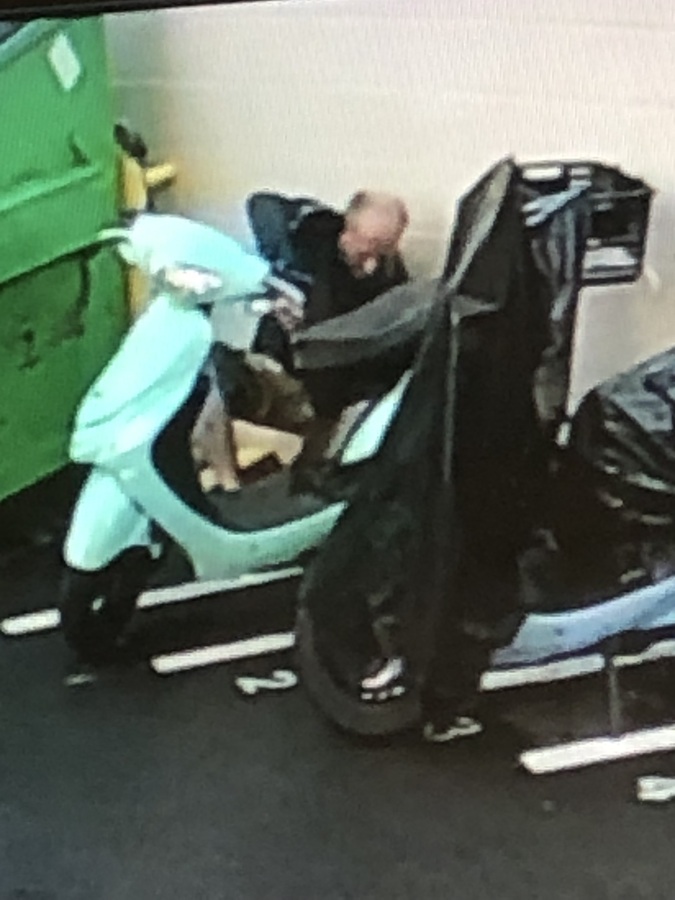 Scooter photo