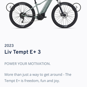 2023 Liv Tempt E3 29r Green and Black