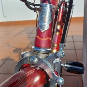 Guersan Pasteleira Confersil Red